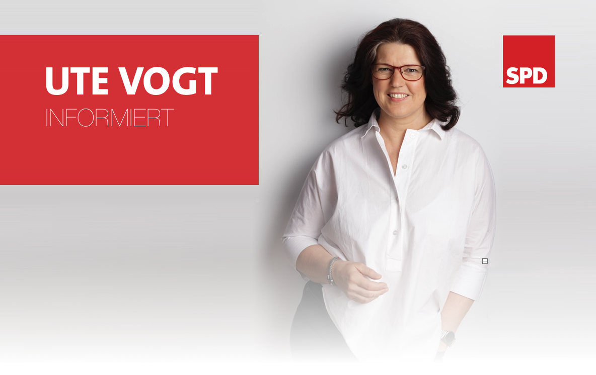 Ute Vogt informiert